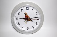 Reloj de pared Pardillo